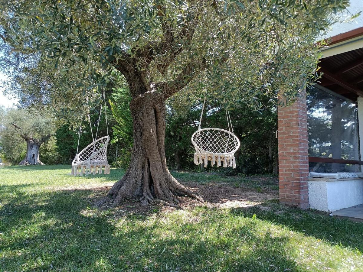 Ferienwohnung Marios Garden House Áfitos Exterior foto